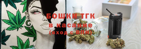 ECSTASY Лагань