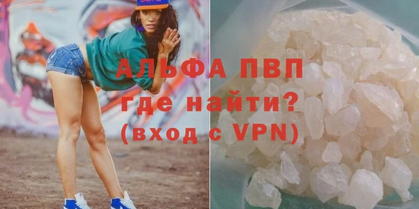ECSTASY Лагань
