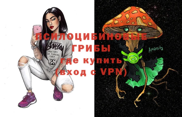 молекула духа Лабытнанги