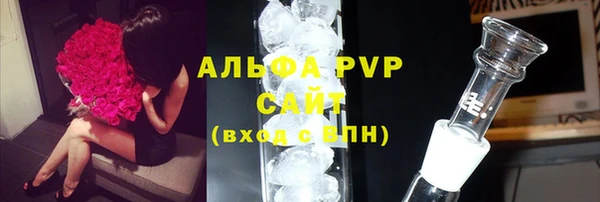 ECSTASY Лагань