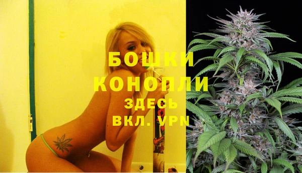 молекула духа Лабытнанги