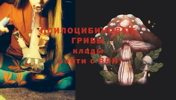 молекула духа Лабытнанги
