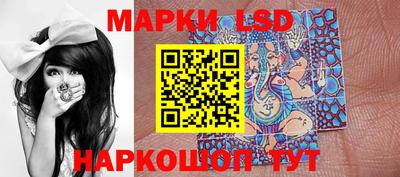 гидра Гатчина