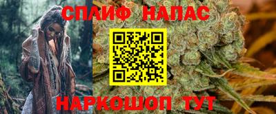гидра Гатчина