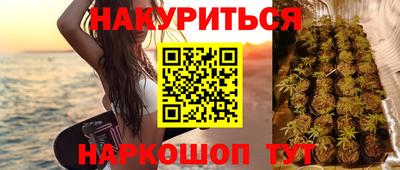 гидра Гатчина