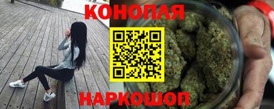 гидра Гатчина