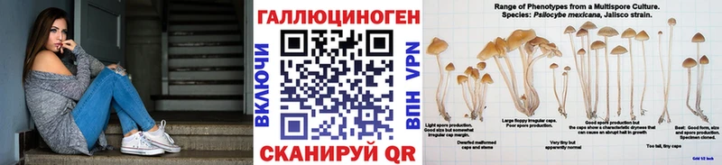 mega рабочий сайт Крымск Псилоцибиновые грибы ЛСД