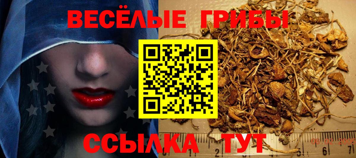 Галлюциногенные грибы MAGIC MUSHROOMS Крымск