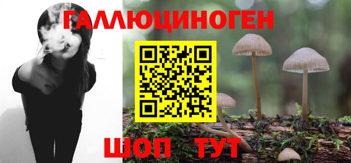 Крымск  Псилоцибиновые грибы Cubensis  Вход с VPN 